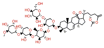Synallactoside B2